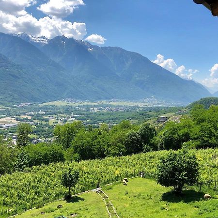 Agriturismo Cavria Castione Andevenno Kültér fotó
