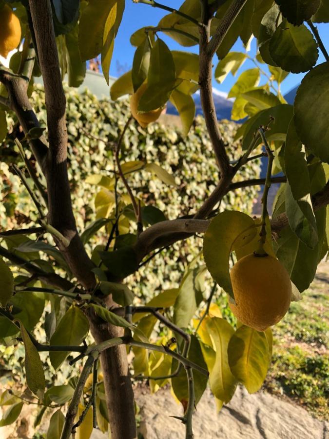 Agriturismo Cavria Castione Andevenno Kültér fotó