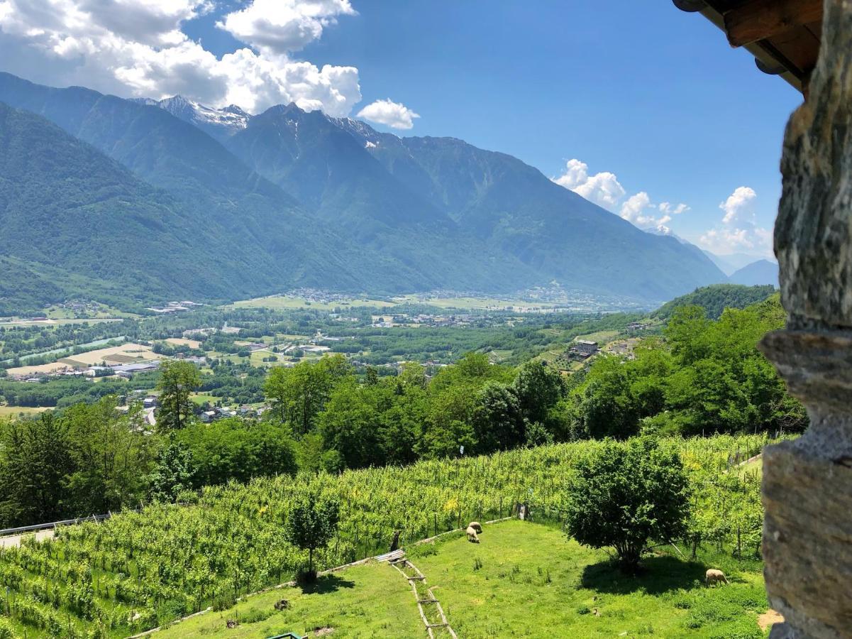 Agriturismo Cavria Castione Andevenno Kültér fotó